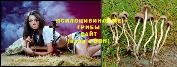 не бодяженный Гусь-Хрустальный