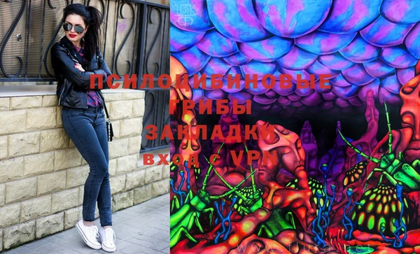 a pvp Гусев