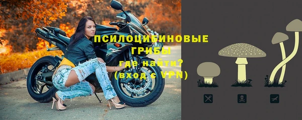 каннабис Гусиноозёрск