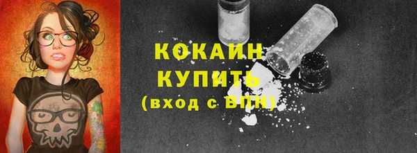 прущие грибы Кедровый