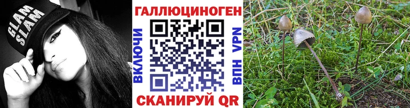 Псилоцибиновые грибы мицелий  Плёс 